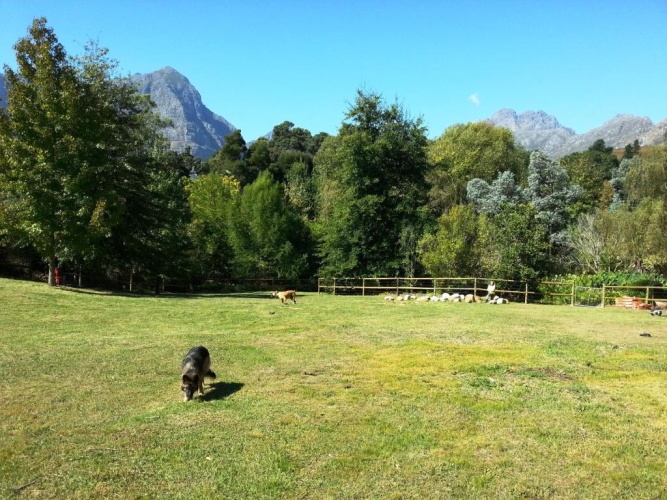 Standard Double room with mountain view