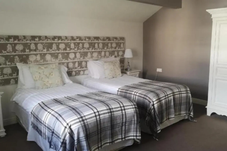 OYO New Inn Hotel