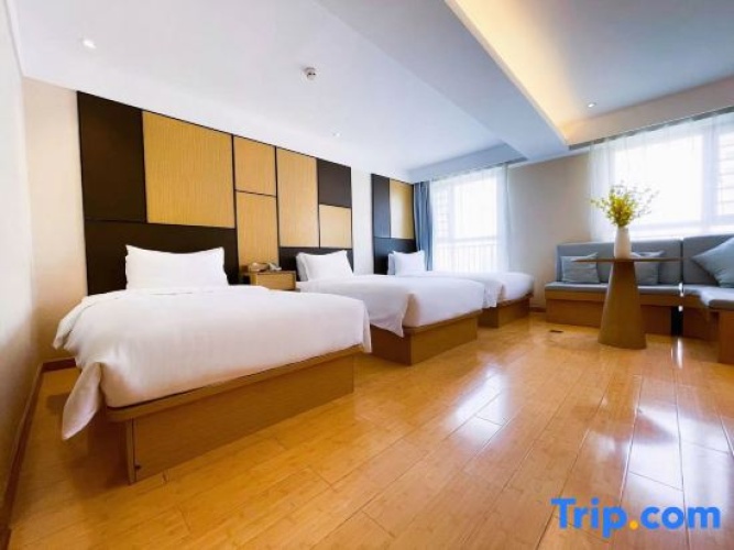 Standard Double room with city view