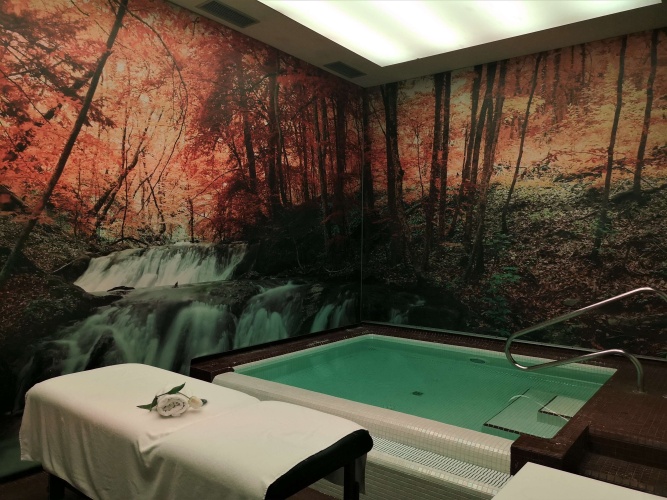 Hotel Balneario de la Hermida photo 18
