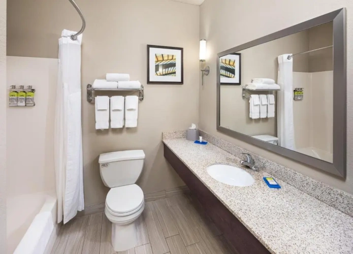 1 Bedroom Suite