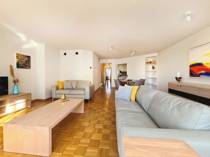 Deluxe Apartment with balcony and with city view