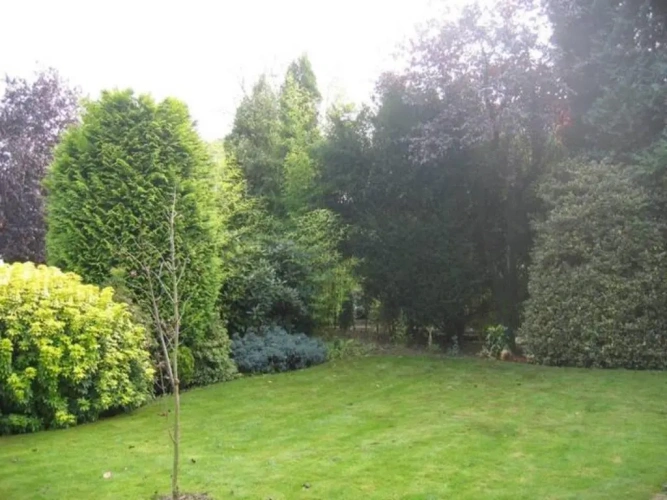 Standard Double room with garden view