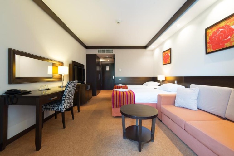 Standard Twin room with balcony and with view