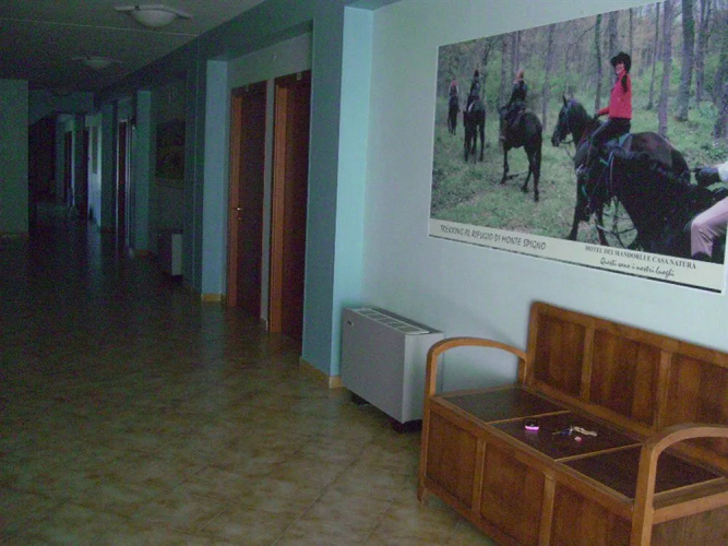 Hotel Menta e Rosmarino
