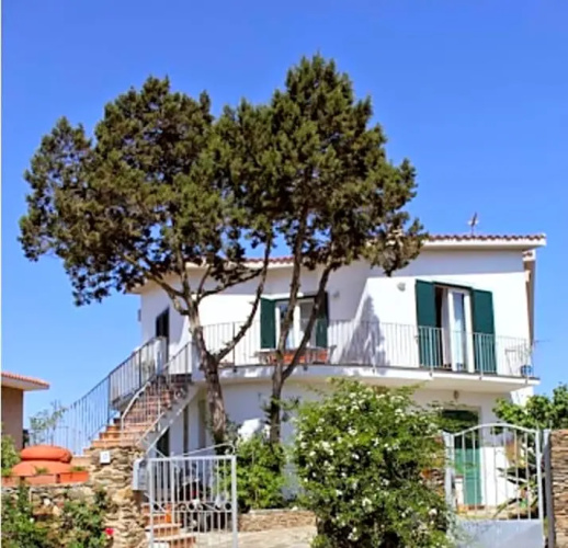 il Ginepro di Stintino