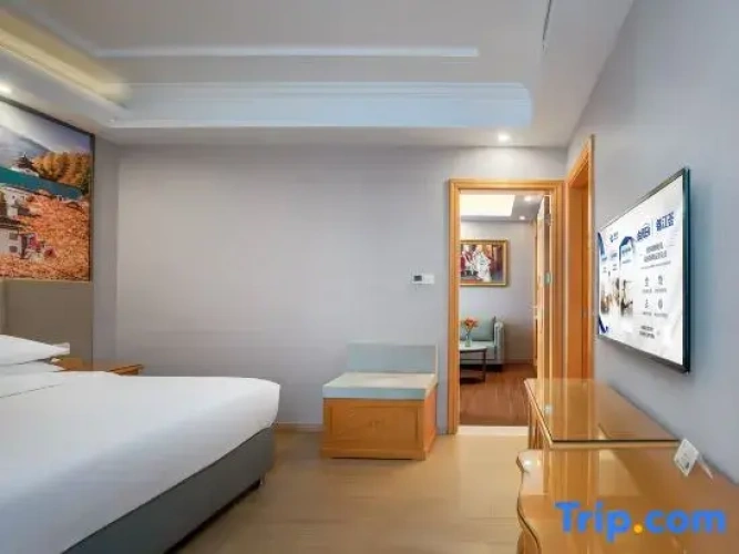 1 Bedroom Executive Suite with view