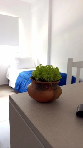 Hotel Musto