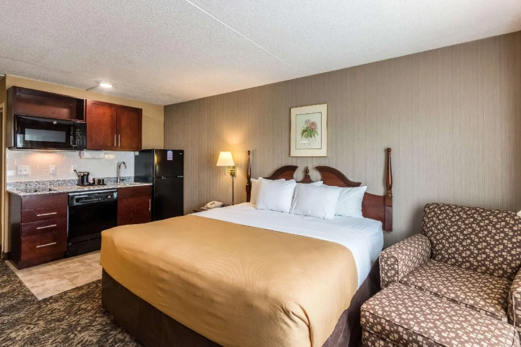 Standard Double room