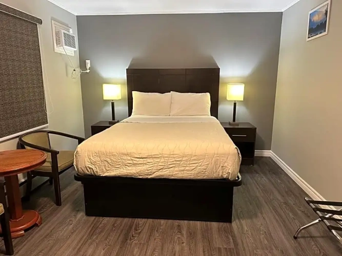 Deluxe Single room with view