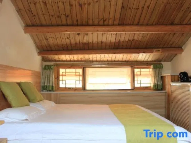 Twin Family Suite