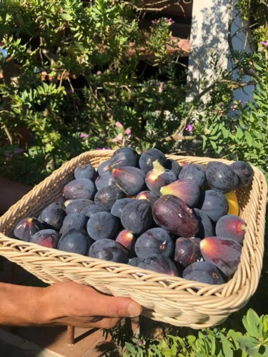 Agriturismo Is Cortillaris