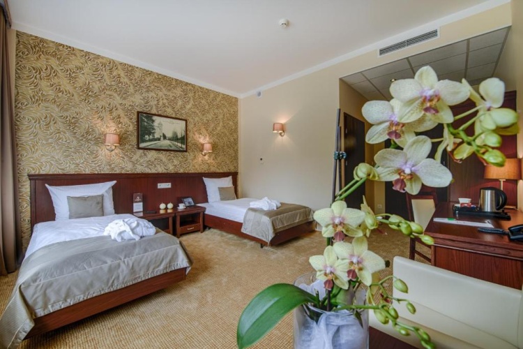 Standard Single room
