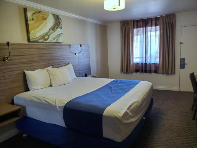 Deluxe Single room