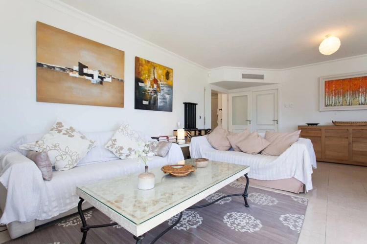 Royal Palm 127