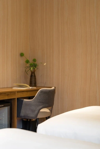 Premier Twin room with city view