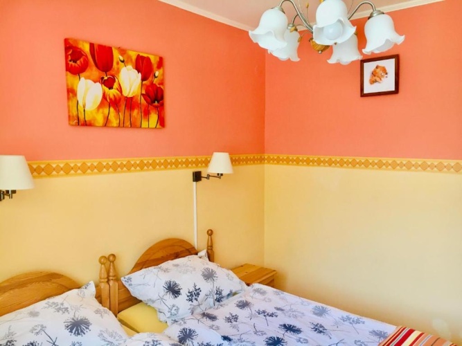 Basement Apartment