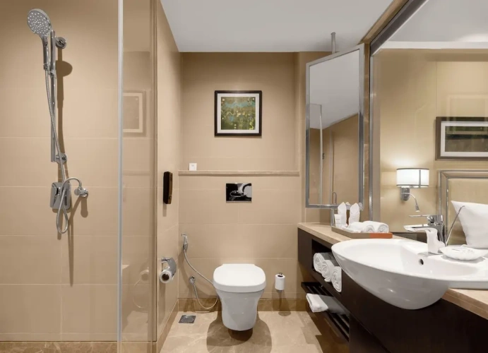 Executive Double Club Suite