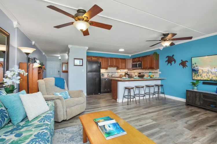 1 Bedroom Apartment