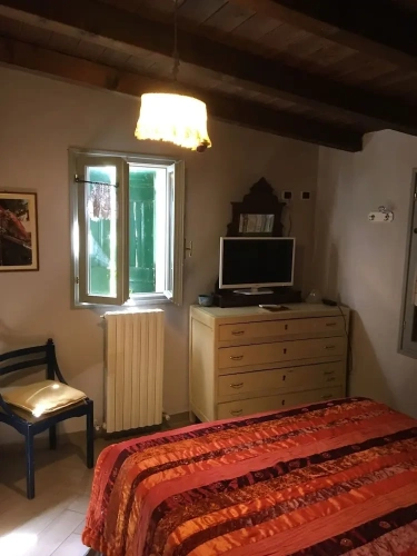 1 Bedroom Basement Apartment