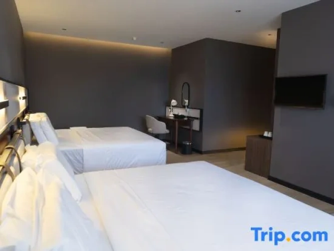 Premier Double room with city view