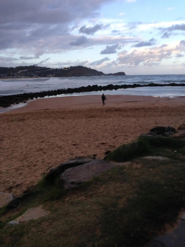 The Beach Hut Avoca Beach NSW