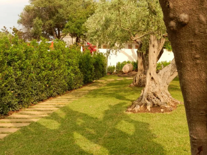 Villa Collina