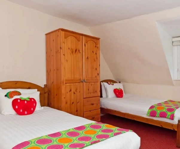 Standard Twin Attic room