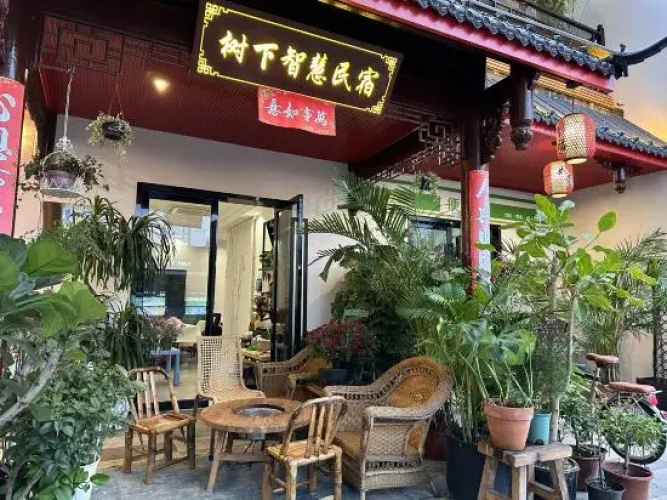 Shanghai Wisdom Hostel Under the Tree
