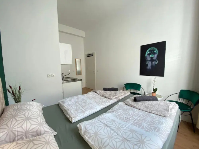 Spacious 8BR Apt with Terrace 16P