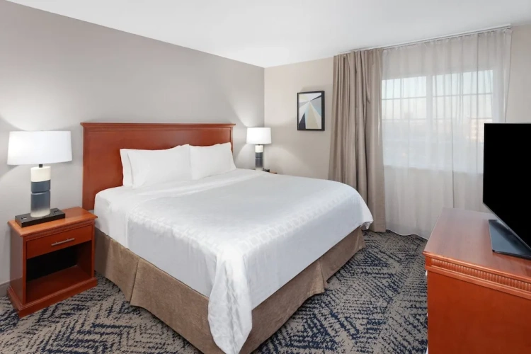 1 Bedroom Suite