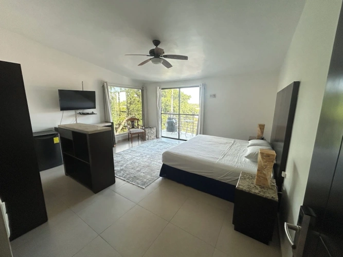 Premium Suite with city view