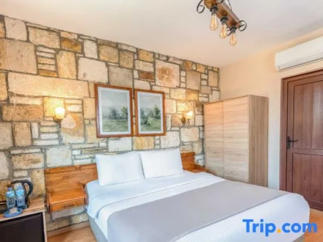 Standard Double room with balcony and with view