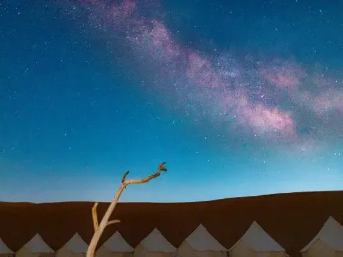 Zhongwei Daxing Night Desert Camp