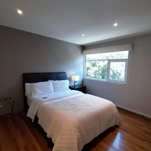 Arquimedes Light I Chic 1BR in Polanco