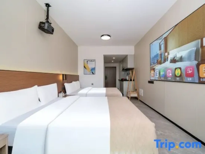 Standard Twin room with city view