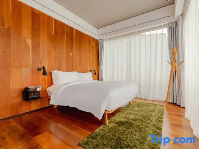 Double Suite with view