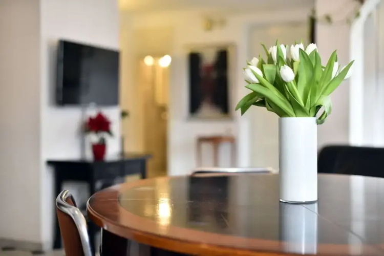 Apartment Knez Mislav