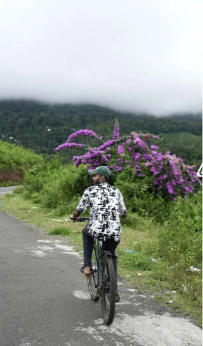 Willmount Geodesic Domes Vagamon