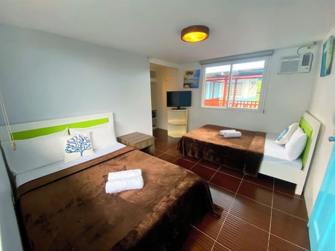 Deluxe Twin Villa