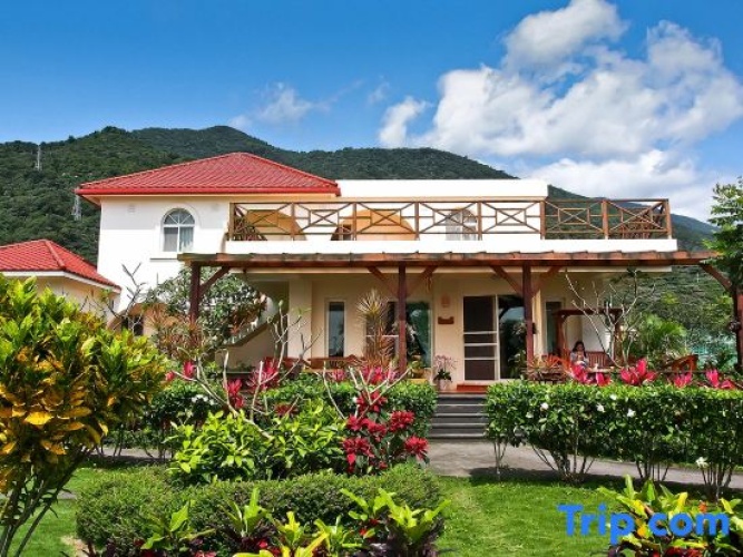 Bali Hostel