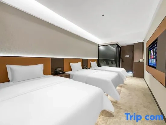 Comfort Triple Family room