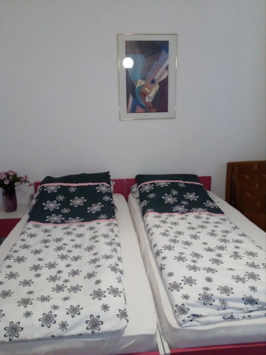 Apartments Tepić