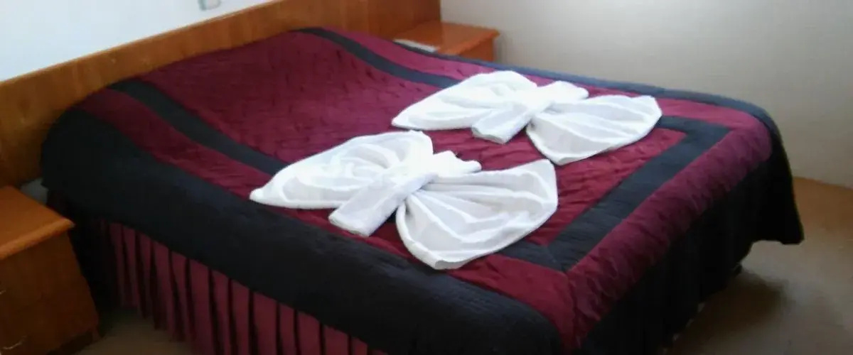 Hotel Baykal