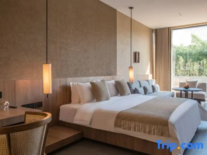 1 Bedroom Suite
