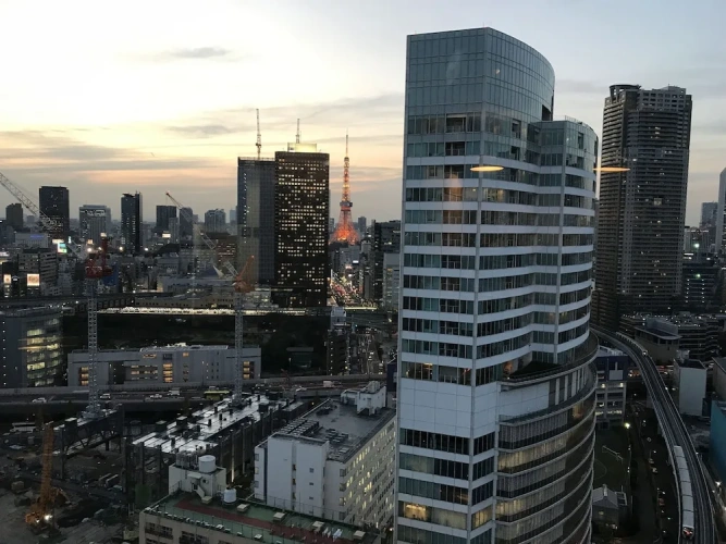 Luxury Twin room with city view