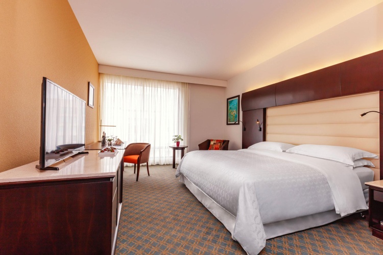 Standard Double Club room