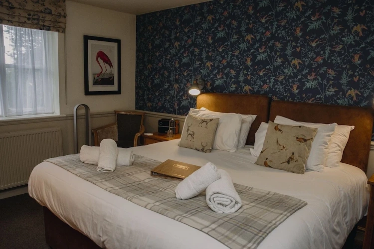 Comfort Double room