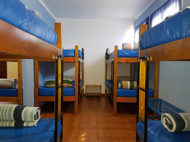 Bed in Dorm