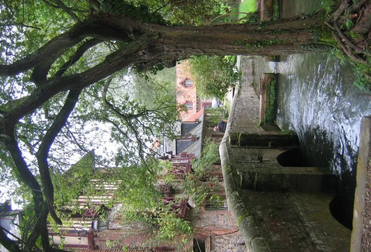 Le Moulin Fleuri Du Petit Appeville